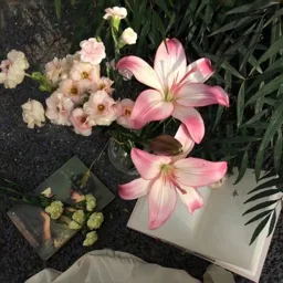 孔少娟