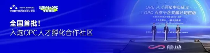 工信部AI新政 | 鼓励搭建FDE团队，前线部署工程师进入政策视野 配图 11