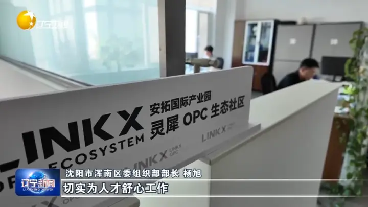 《辽宁新闻》｜园区招才引智创新实践——回流青年：从一线城市到振兴一线 配图 5